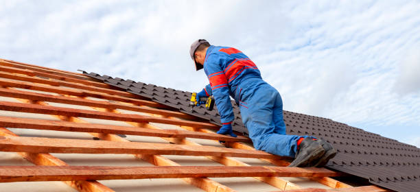 Best Rubber Roofing (EPDM, TPO)  in Monticello, IL
